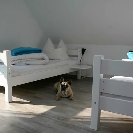 Daire Ferienwohnung Dd Himmelblau Og *